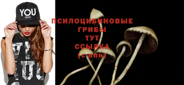круглые Абаза