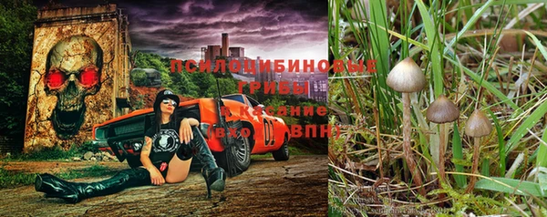 эйфоретик Сосновка