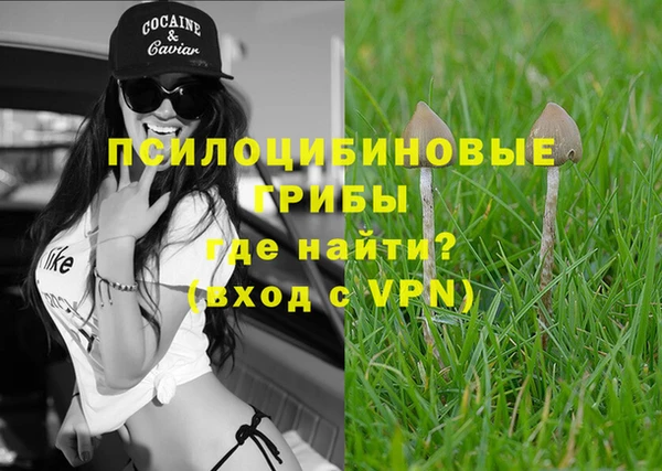 синтетический гашиш Сосновоборск