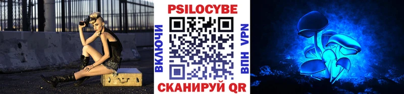 Псилоцибиновые грибы Psilocybine cubensis  Зарайск 